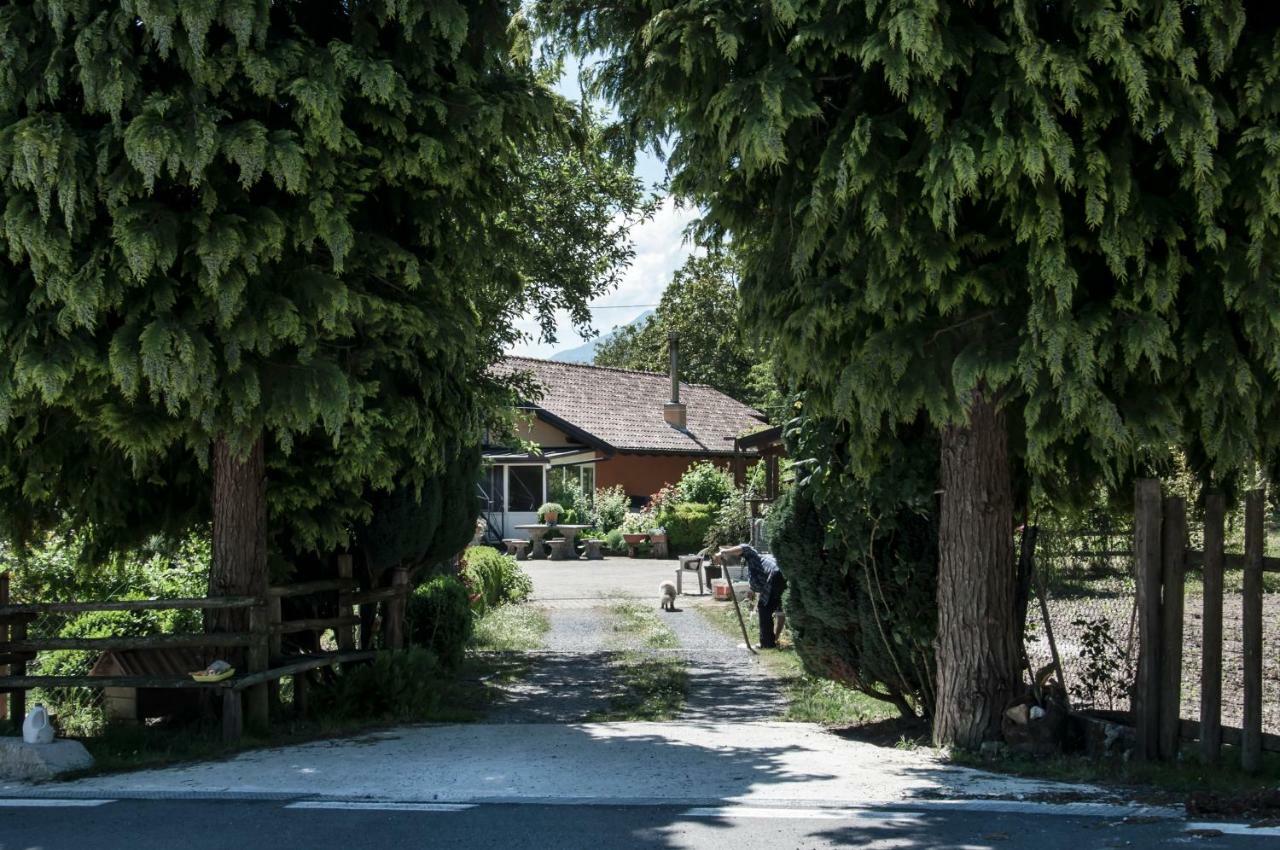 La Locanda Degli Elfi 维贾内洛 外观 照片